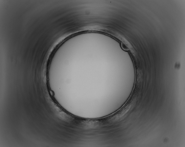 X0000101200939200807181531