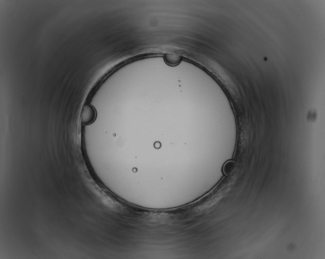 X0000101200940200807181531