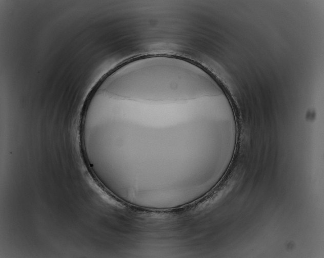 X0000101200941200807181531