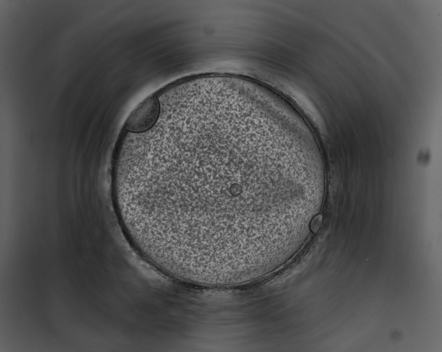 X0000101200944200807181531