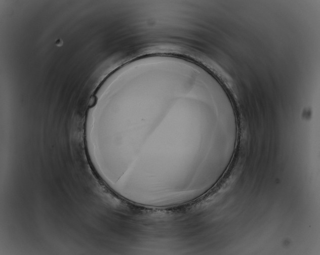 X0000101200945200807181531