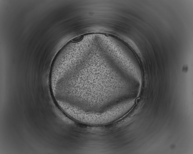 X0000101200946200807181531