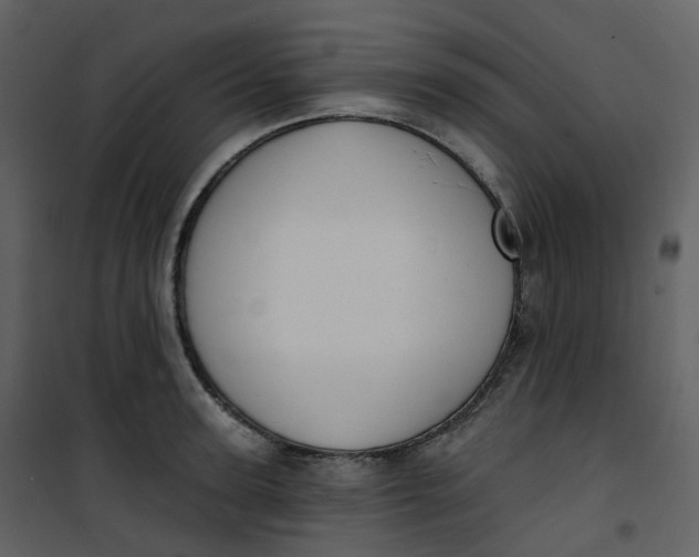 X0000101200947200807181531