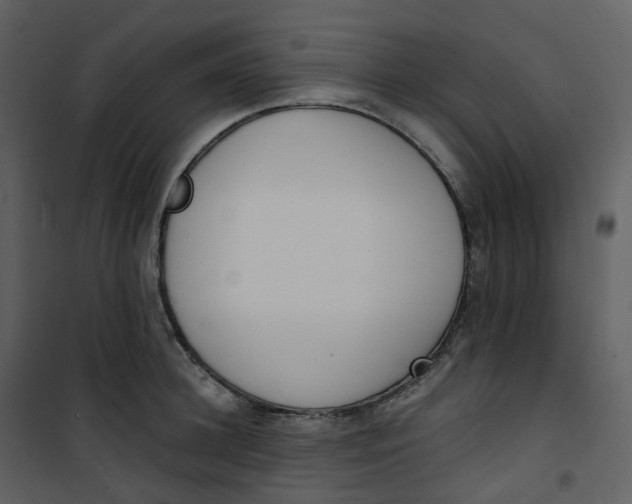 X0000101200948200807181531