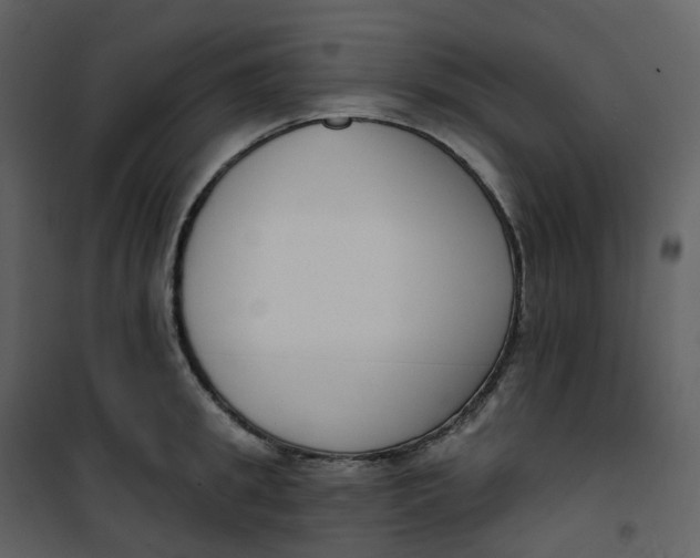 X0000101200949200807181531