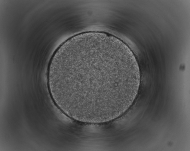 X0000101200950200807181531