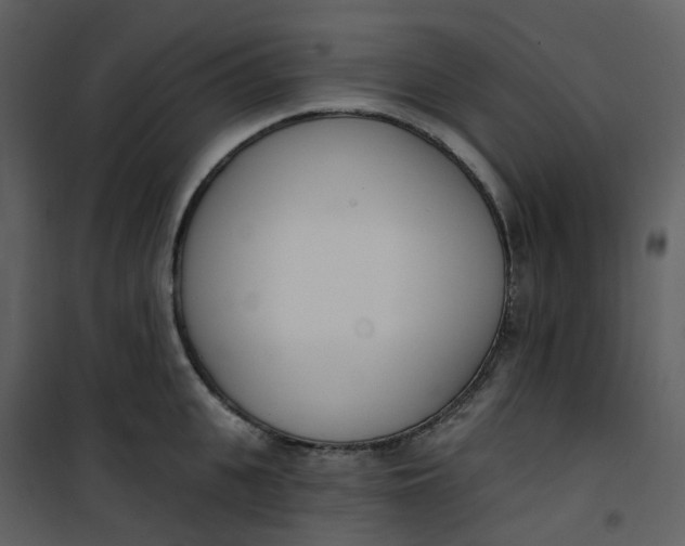 X0000101200951200807181531