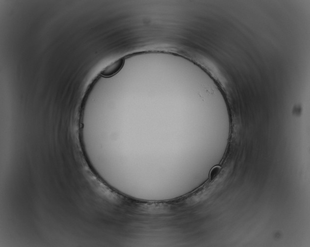 X0000101200952200807181531