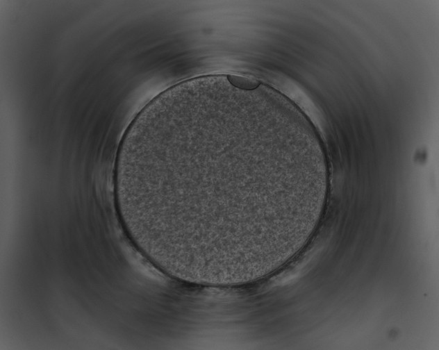 X0000101200954200807181531