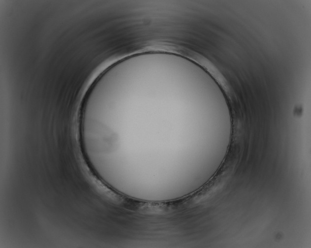 X0000101200955200807181531