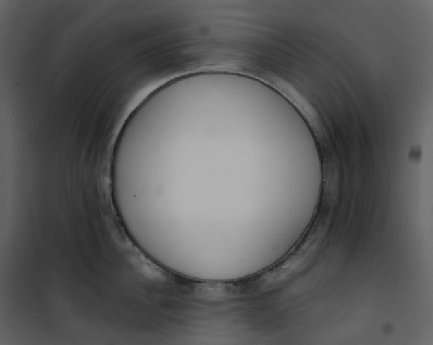 X0000101200956200807181531