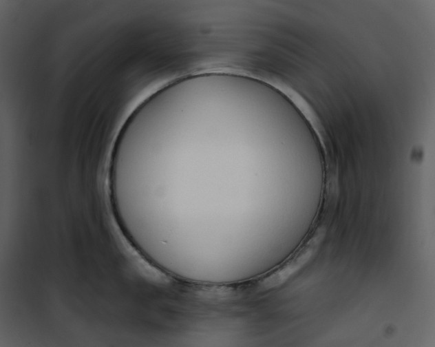 X0000101200957200807181531