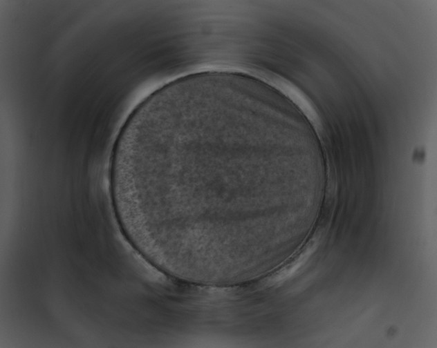 X0000101200958200807181531