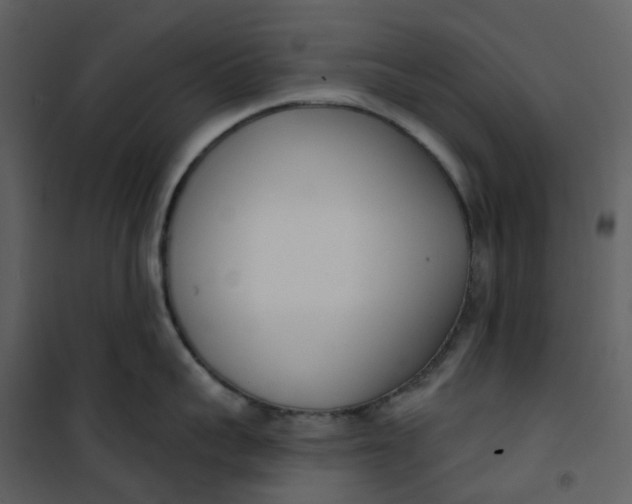 X0000101200959200807181531