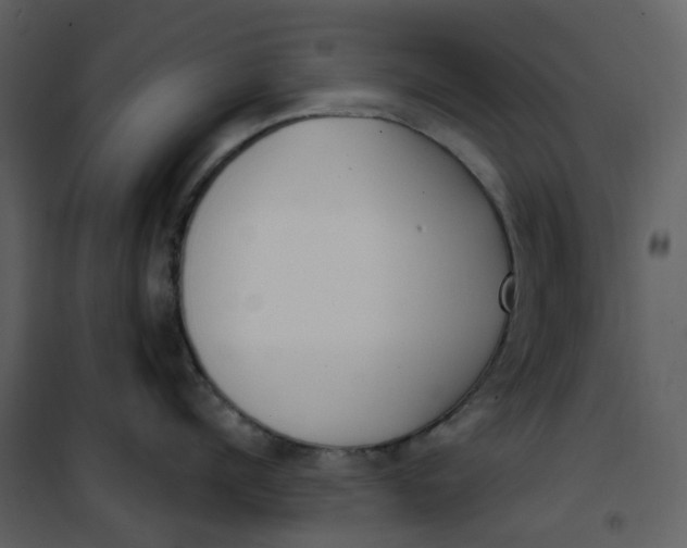 X0000101200960200807181532