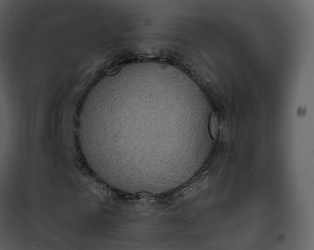 X0000101200961200807181531