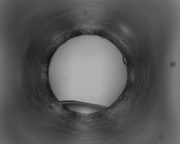 X0000101200964200807181531