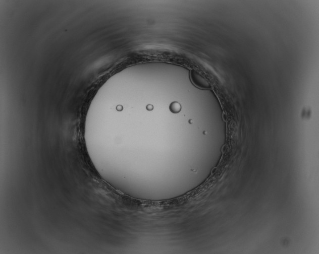 X0000101200965200807181531