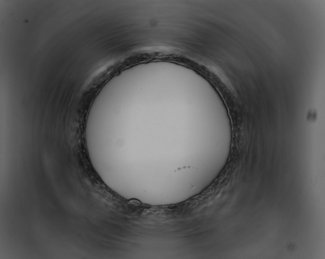 X0000101200967200807181531