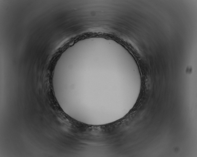 X0000101200968200807181531