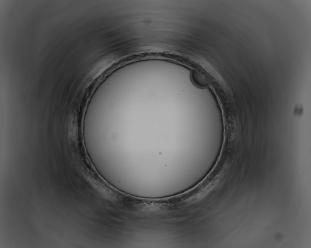 X0000101200969200807181531