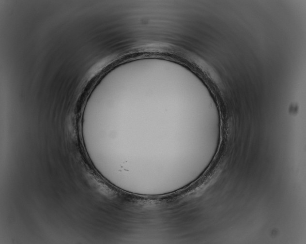 X0000101200970200807181531