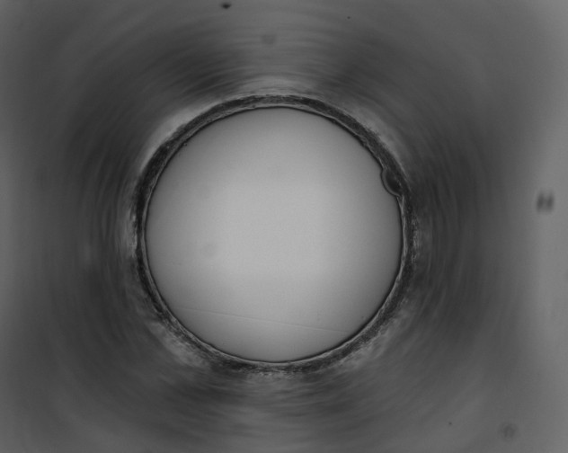 X0000101200973200807181531