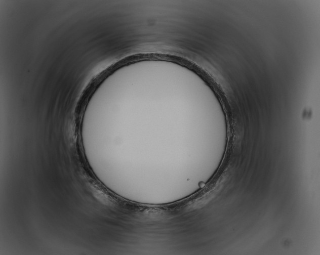 X0000101200974200807181531