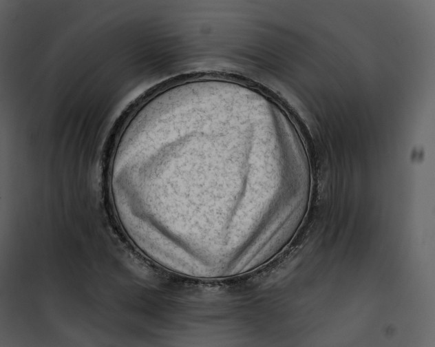 X0000101200975200807181531