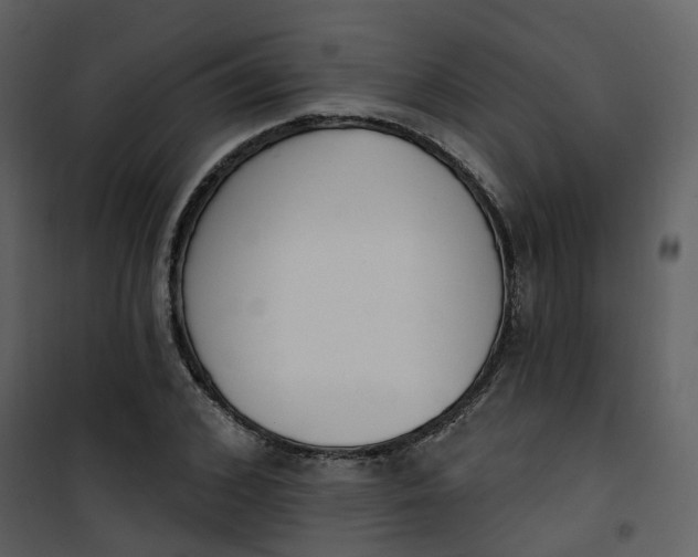 X0000101200976200807181531