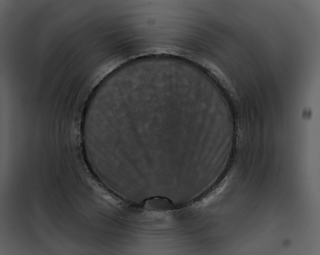 X0000101200977200807181531