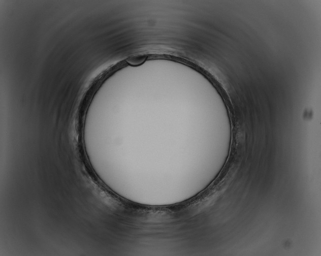 X0000101200979200807181531