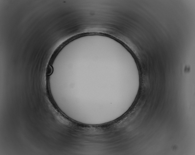 X0000101200980200807181531