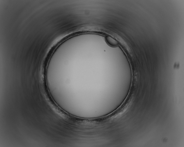 X0000101200981200807181531