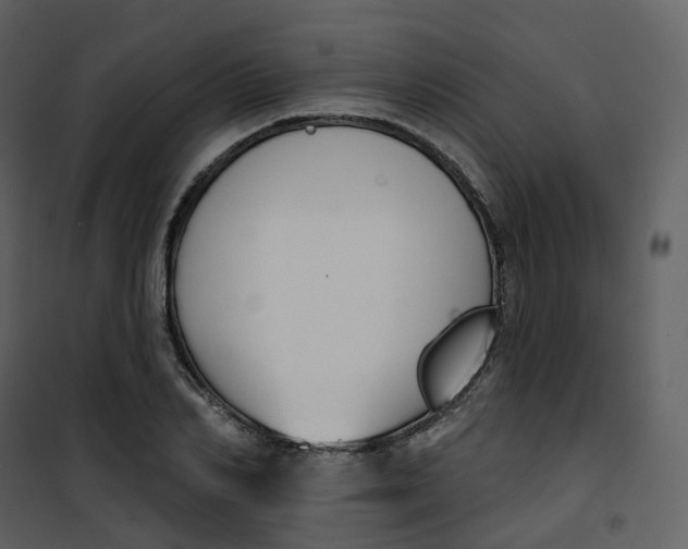 X0000101200982200807181531