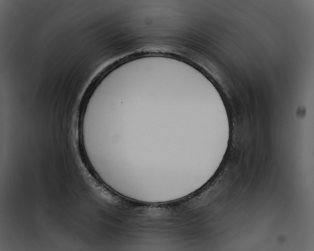 X0000101200984200807181531