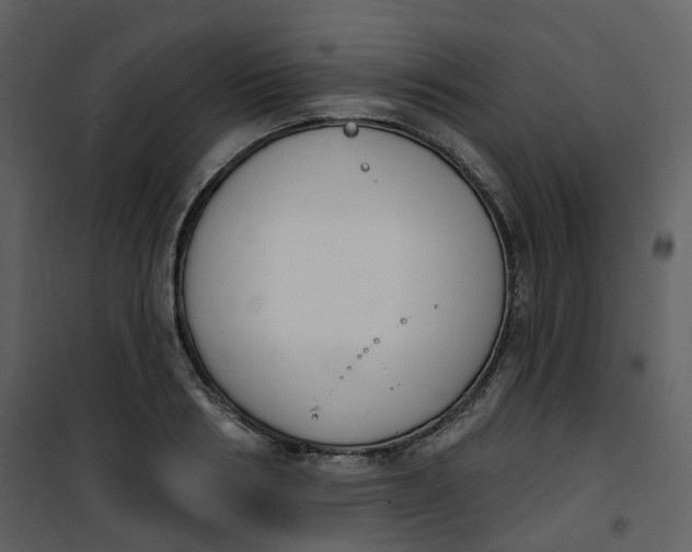 X0000101200986200807181530