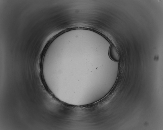 X0000101200987200807181530