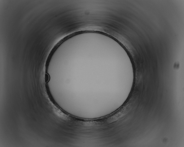 X0000101200988200807181530