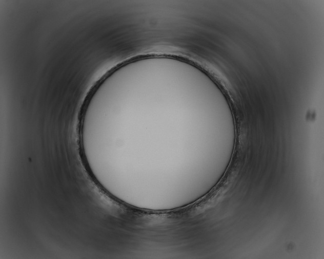 X0000101200990200807181530