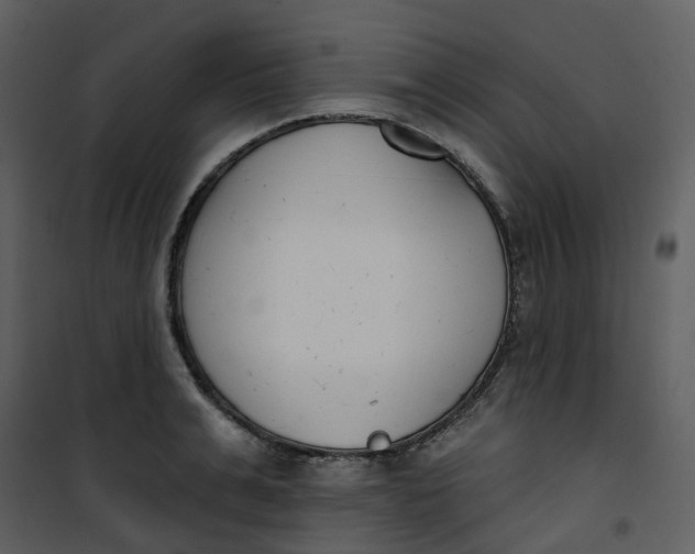 X0000101200991200807181530