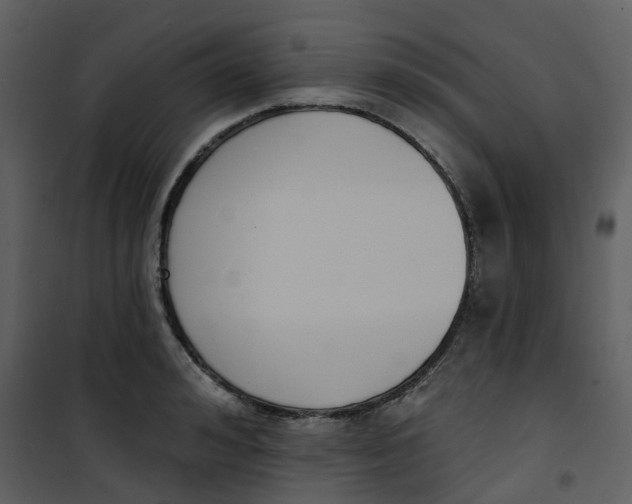 X0000101200992200807181530