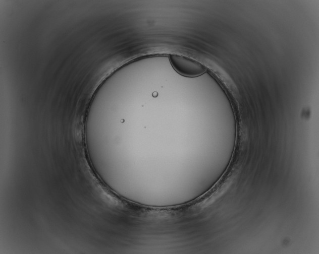 X0000101200993200807181530