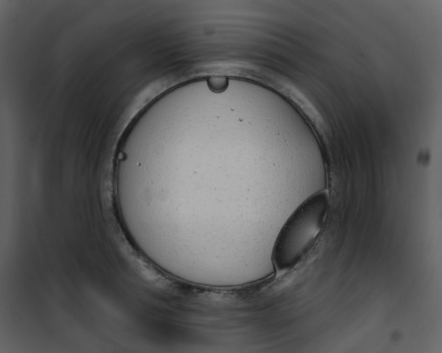 X0000101200994200807181530