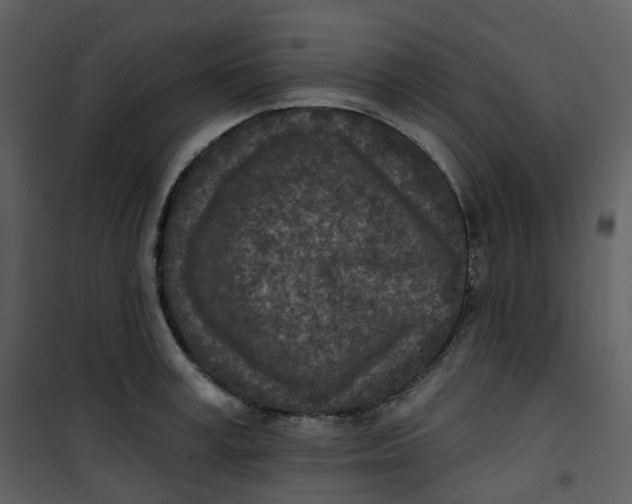 X0000101200995200807181530