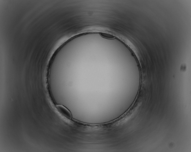 X0000101200997200807181530