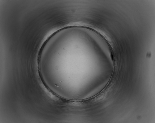 X0000101200998200807181530