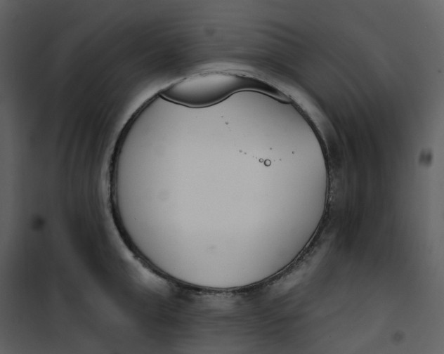 X0000101200999200807181530