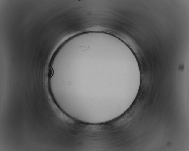 X0000101201000200807181530