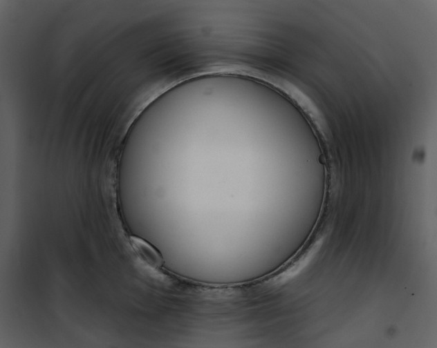 X0000101201001200807181530